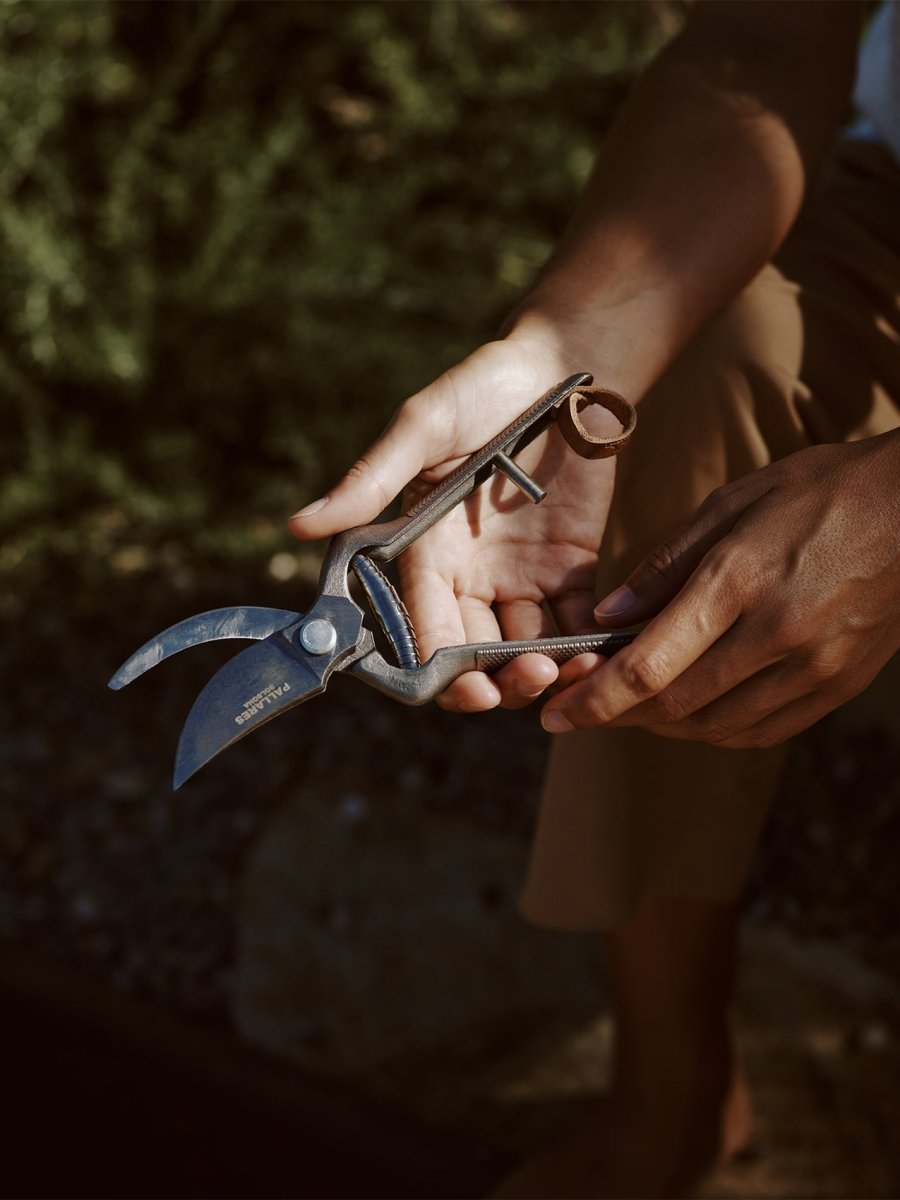 Pallares x Audo Plant Pruner - Image 2