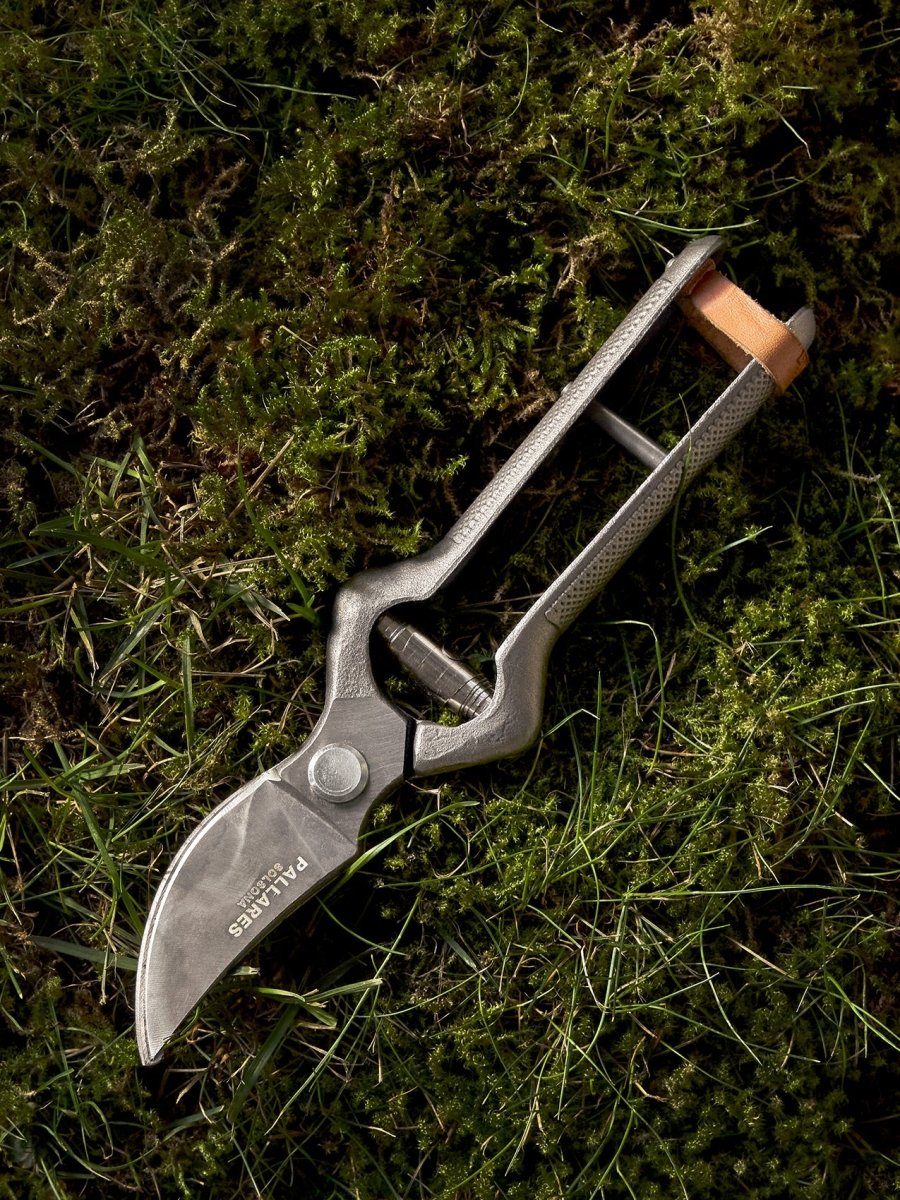 Pallares x Audo Plant Pruner - Image 4